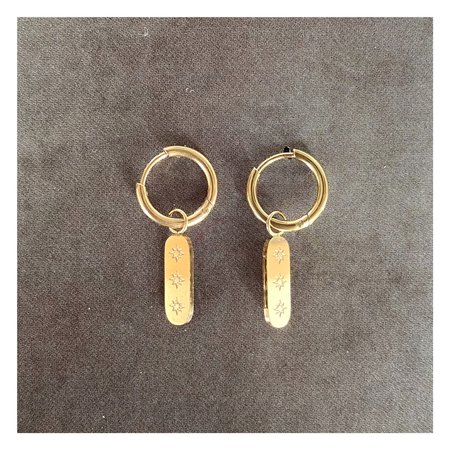 Oorbellen mini hanger ster