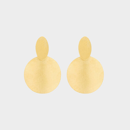 Oorbellen rond goud staal