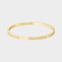 Armband slaven staal goud